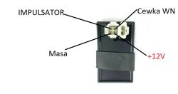 Moduł z opisem pinów: Impulsator, Cewka WN, Masa, +12V