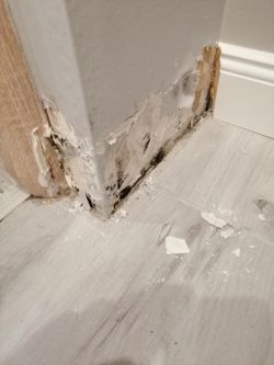 Moisture Issue under Floor & Socket Smell - Help with Door Frame, Skirting Boards & Damp Walls Moisture Issue under Floor & Socket Smell - Help with Door Frame, Skirting Boards & Damp Walls
