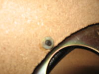 Kolumna Sonics AS-227a. Regeneracja niskotonowego...