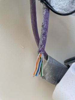 Fioletowy kabel kat. 6 pokazujący odsłonięte, kolorowe żyły.