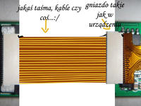 kompletny laik potrzebuje wsparcia:)