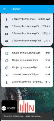 Home Assistant Screenshot with Connection Loss Screenshot of Home Assistant app with a connection loss notification.