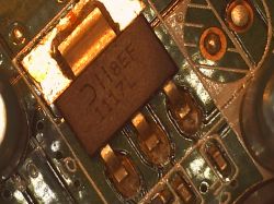 Tani mikroskop elektroniczny, recenzja Tani mikroskop elektroniczny, recenzja