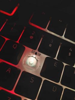 Klawiatura Razer Ornata Chroma V2 z usuniętym klawiszem W, ukazującym wewnętrzną mechanikę.