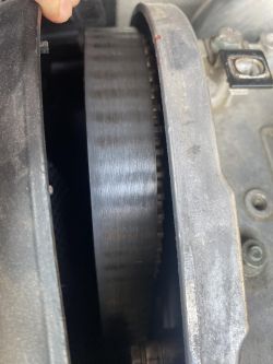 Pasek rozrządu Audi A3 8L z widocznym położeniem na skraju koła zębatego.
