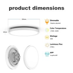 BK7238 LED Ceiling Light (RGBIC+CCT) – Home Assistant Integration?