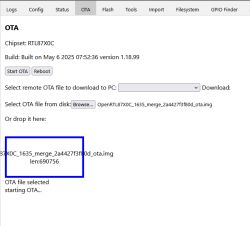 Screenshot of the OTA panel with a selected .img update file for the RTL87X0C chipset.