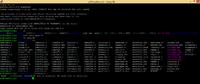 Raspberry Pi z Apache - Jak przenieść plik gif.h do katalogu var/www?