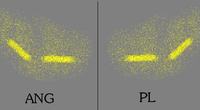 Understanding Differences Between UK and Continental Car Headlamps