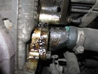 Fiat Punto 2 1.2 8V - Możliwe przyczyny wycieku z silnika