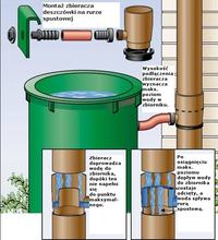 Connecting Gutter to 1000L Rainwater Tank: Best Methods for 50cm Elevated Setup