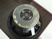 Uszkodzony głośnik B&C Custom 300W 8Ohm (HK1208), naprawa czy zamiennik? Uszkodzony głośnik B&C Custom 300W 8Ohm (HK1208), naprawa czy zamiennik?