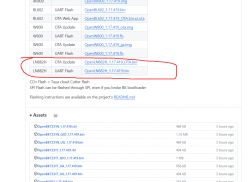 Screenshot of a file list for OTA and UART Flash updates for LN882H, highlighting OpenLN882H_1.17.419_OTA.bin and OpenLN882H_1.17.419.bin options.