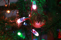 Intre WiFi WSRGB LED Controller DIY - Projekt na Konkurs Świąteczny