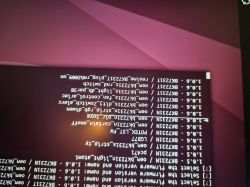 Terminal screen displaying upside-down text.