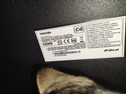 Toshiba TV back label with technical data and part of a cat's fur visible