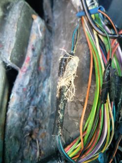 Focus mk1 2000r 1.8 TDDI - Problem z podłączeniem uniwersalnego sterownika centralnego zamka