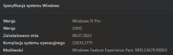 Zrzut ekranu specyfikacji systemu Windows 11 Pro.