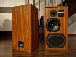 Naprawa kolumn/głośnika pasywnego(klejenie) BangOlufsen Beovox 5700