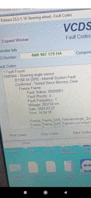 Zdjęcie ekranu programu diagnostycznego pokazującego błąd czujnika kąta skrętu w Audi.