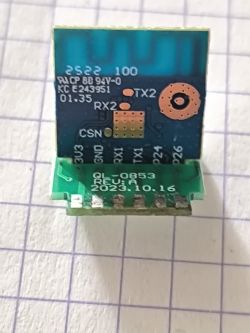 CB2S module with visible pins labeled TX2, RX2, TX1, RX1, and P24