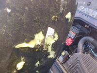 Dacia Dokker - Co mogło uszkodzić izolację silnika? Szkodniki czy elementy auta?