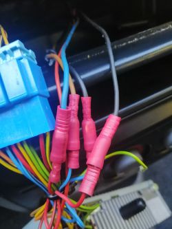 Podłączenie caraudio bez wzmacniacza - jak przywrócić fabryczne ustawienia?