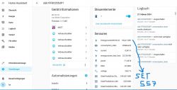 Screenshot of Home Assistant interface displaying device information and energy statistics.