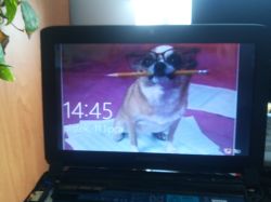 eMachines eM350 – instalacja Windows XP z pendrive, nie uruchamia się instalator