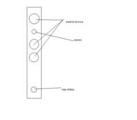 Genius 6000 2.1 zamiast 5.1