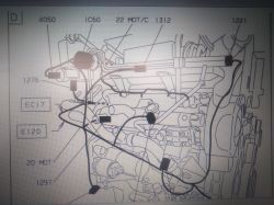 Citroen/C3/1.4HDI - Gdzie czujnik temparatury powietrza? Jaki kolor kabli?