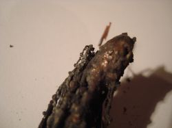 Fiat Bravo 2007 - Ocena przewodów po prawdopodobnym zwarciu instalacji