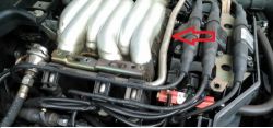 Audi A4 B5 2.6 V6 - Poszukiwanie wężyka od podciśnienia Audi A4 B5 2.6 V6 - Poszukiwanie wężyka od podciśnienia