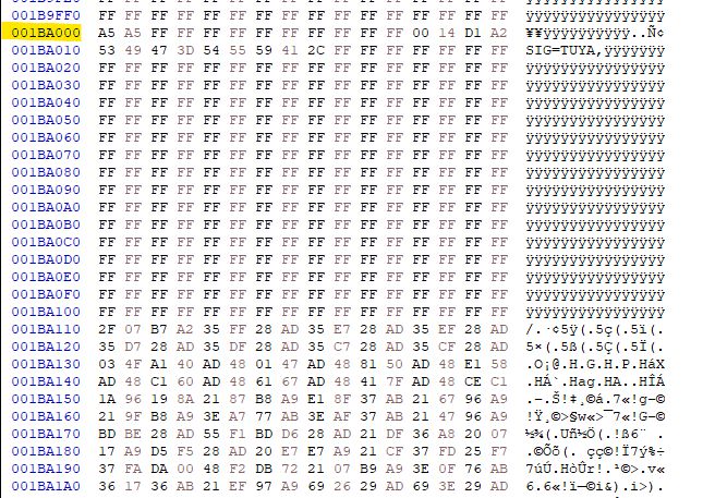 Screenshot of flash memory hex data with highlights.