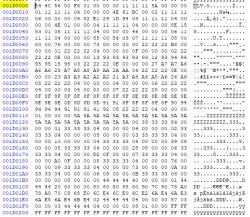 Screenshot showing binary data in a hex editor.