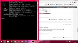 HikVision DS-2CD2041G1 problem with connection to camera preview