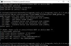 CMD window showing W600 bootloader detection and device information