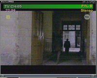 Tuner TV (Leadtek Winfast 2000XP RM) - brzydki, śnieżący obraz Tuner TV (Leadtek Winfast 2000XP RM) - brzydki, śnieżący obraz