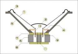 Rozebranie i regeneracja głośników estradowych Beyma 18G40 i 18G400: jak odkleić membranę i cewkę?