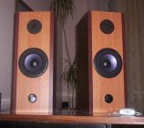 Moja pierwsza konstrukcja-Kolumny stereo oparte na Tonsilach Moja pierwsza konstrukcja-Kolumny stereo oparte na Tonsilach