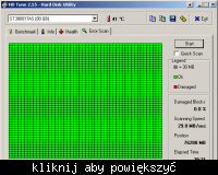 Dysk Seagate 80 GB ST380817AS i parametr read error rate (1)