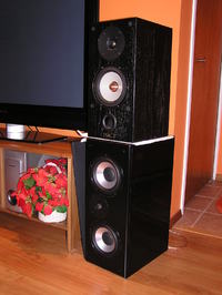 Tuningowanie Tonsil Fenix