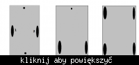 Zdalnie sterowany wózek do przewozu towarów Zdalnie sterowany wózek do przewozu towarów