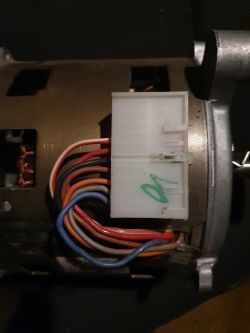 Silnik SOLE Typ 20572600 - jak podłączyć pod 230V