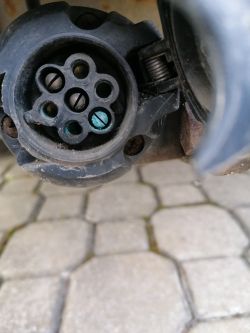 Focus Mk1 - Nie ma światła przeciwmgielnego z tyłu