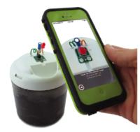 Uzyskiwanie elektryczności z bakterii w błocie