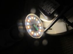 Illuminated LED bulb with visible diodes on the circuit board.