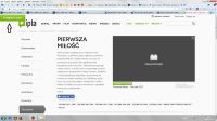 What is the plugin for downloading videos from the ipli website