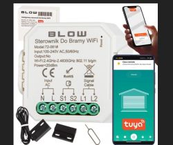 Independently opening a double-leaf gate with Tuya actuators and control - how?