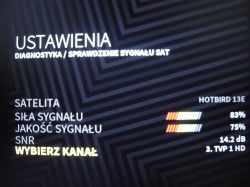 Ekran ustawień diagnostyki satelitarnej pokazujący siłę i jakość sygnału Hotbird 13E.